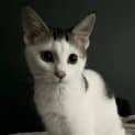 Photo of Gretel