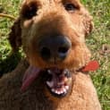 Photo of Stanley