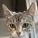 Photo of Lyla