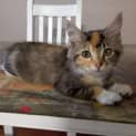 Photo of Mareeka