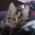 Photo of Mareeka