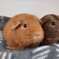 Photo of Macey & Jake Sully