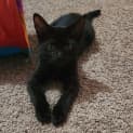 Photo of Eve
