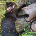Photo of Eve