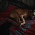 Photo of Willow