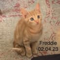Photo of Freddie