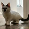 Photo of Elinor   Located In Melton