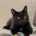 Photo of Fantine
