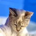 Photo of Torie