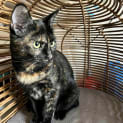 Photo of Shelly