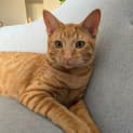 Photo of Russel