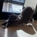 Photo of Wednesday
