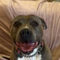 Photo of Skye Blue