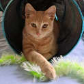 Photo of Rin