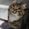 Photo of Roger 10671