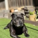 Photo of Winnie