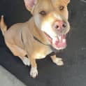 Photo of Ralph