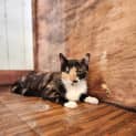 Photo of Holly