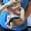 Photo of Lucifer