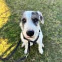 Photo of Murphy