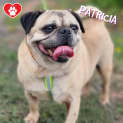Photo of Patricia