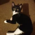 Photo of Polka