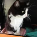 Photo of Wilfred