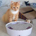 Photo of Motley