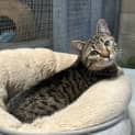 Photo of Keisha
