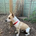 Photo of Maggie