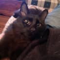 Photo of Johno