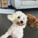 Photo of Keiko