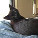 Photo of Squiggles