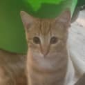 Photo of Dukey Dook