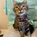 Photo of Alley