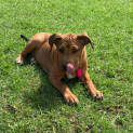 Photo of Cleo