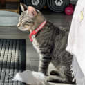 Photo of Lady