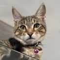 Photo of Mitzy