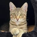 Photo of Mitzy