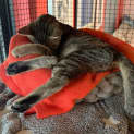 Photo of Mitzy