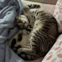 Photo of Mitzy