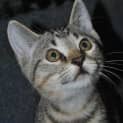 Photo of Eclipse