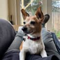 Photo of Fifi Quackenbush