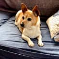 Photo of Fifi Quackenbush