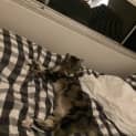Photo of Grandma Tiddles