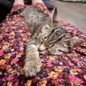 Photo of Thumbelina