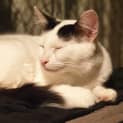 Photo of Mister
