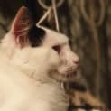 Photo of Mister
