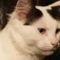 Photo of Mister