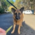 Photo of Nala